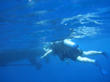 Scuba diver in Kona